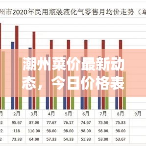 潮州菜价最新动态，今日价格表、市场分析预测报告