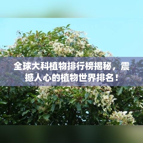 全球大科植物排行榜揭秘，震撼人心的植物世界排名！