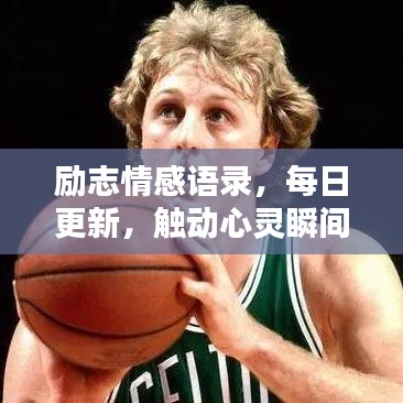 励志情感语录，每日更新，触动心灵瞬间