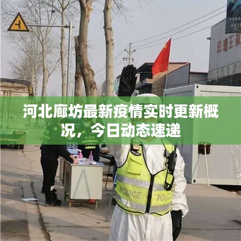 河北廊坊最新疫情实时更新概况，今日动态速递
