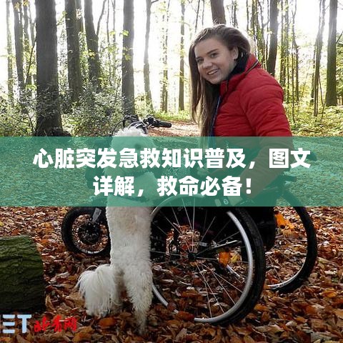 心脏突发急救知识普及，图文详解，救命必备！