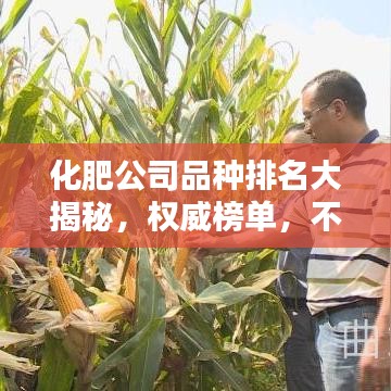 化肥公司品种排名大揭秘，权威榜单，不容错过！
