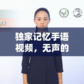 独家记忆手语视频，无声的情感传递，触动心灵的语言