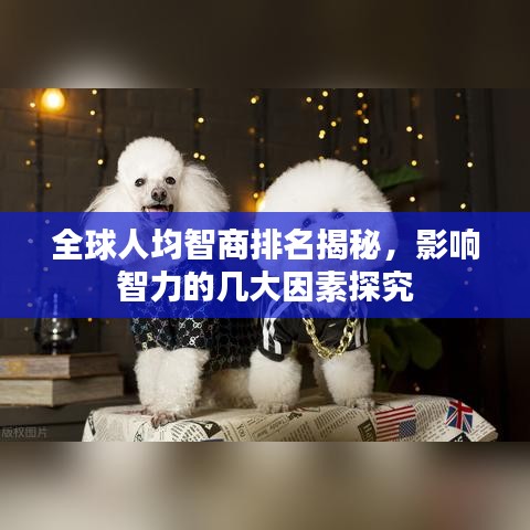全球人均智商排名揭秘，影响智力的几大因素探究
