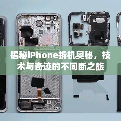揭秘iPhone拆机奥秘，技术与奇迹的不间断之旅