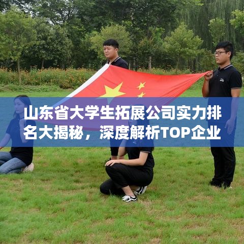 山东省大学生拓展公司实力排名大揭秘，深度解析TOP企业榜单