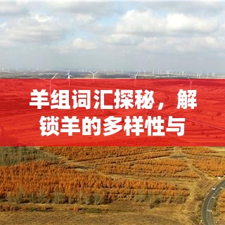 羊组词汇探秘，解锁羊的多样性与奥秘