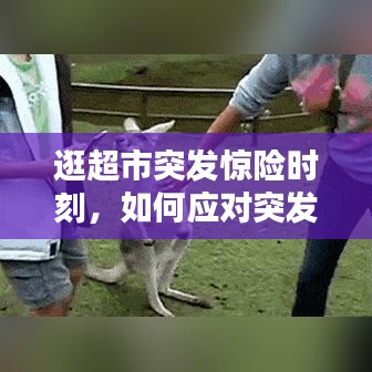 逛超市突发惊险时刻，如何应对突发状况？