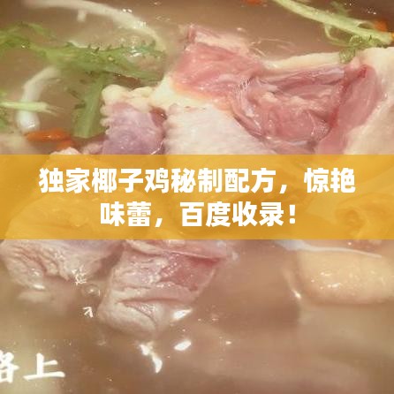独家椰子鸡秘制配方，惊艳味蕾，百度收录！