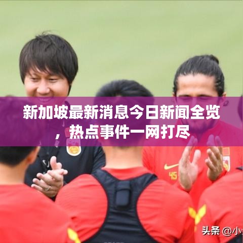 新加坡最新消息今日新闻全览，热点事件一网打尽