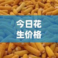今日花生价格现货行情深度解析