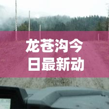 东张西望 第2页