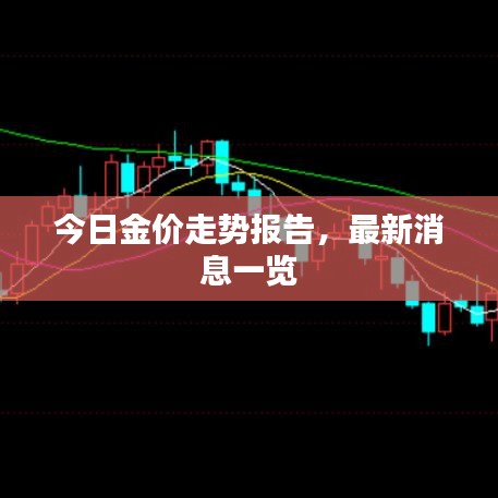 今日金价走势报告，最新消息一览