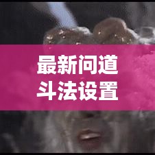 最新问道斗法设置攻略大全详解