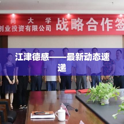 江津德感——最新动态速递