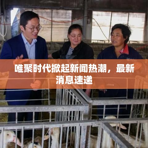唯聚时代掀起新闻热潮，最新消息速递