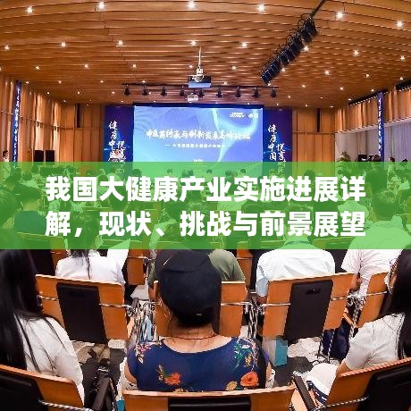 我国大健康产业实施进展详解，现状、挑战与前景展望