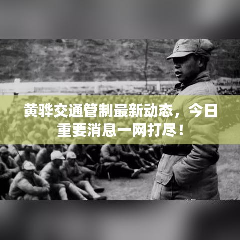 黄骅交通管制最新动态，今日重要消息一网打尽！