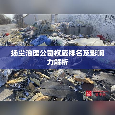 扬尘治理公司权威排名及影响力解析