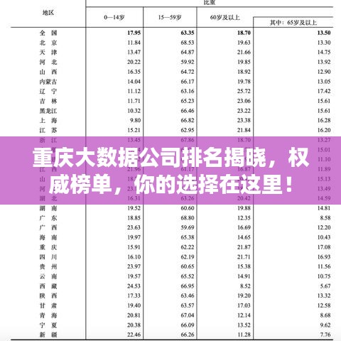 重庆大数据公司排名揭晓，权威榜单，你的选择在这里！