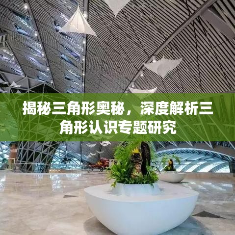 揭秘三角形奥秘，深度解析三角形认识专题研究