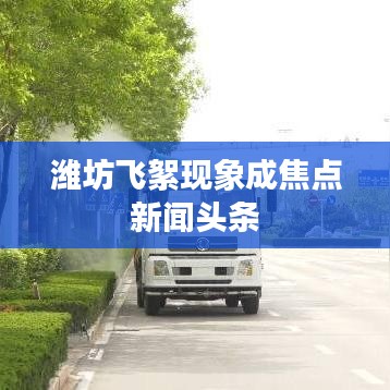 潍坊飞絮现象成焦点新闻头条