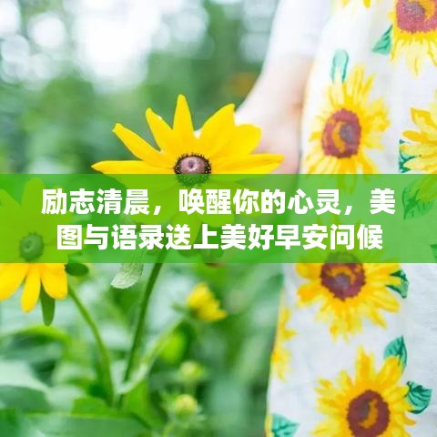 励志清晨，唤醒你的心灵，美图与语录送上美好早安问候