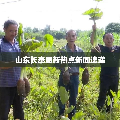 山东长泰最新热点新闻速递
