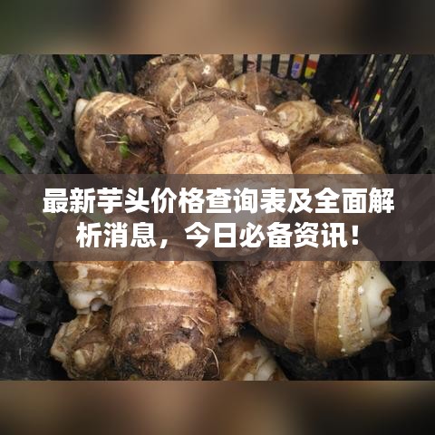 最新芋头价格查询表及全面解析消息，今日必备资讯！
