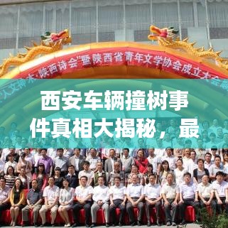 西安车辆撞树事件真相大揭秘，最新进展曝光！