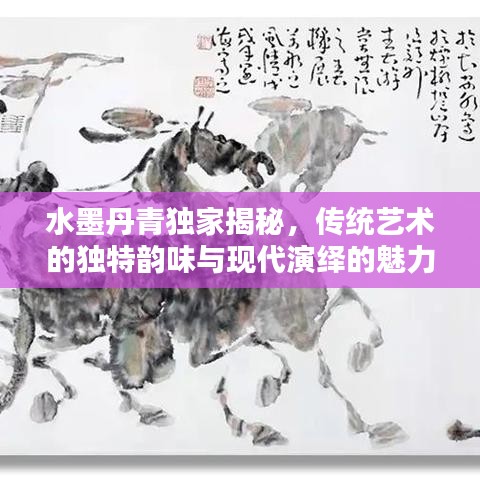 水墨丹青独家揭秘，传统艺术的独特韵味与现代演绎的魅力