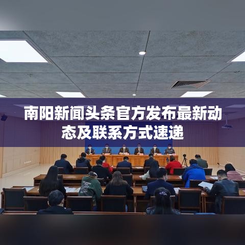南阳新闻头条官方发布最新动态及联系方式速递