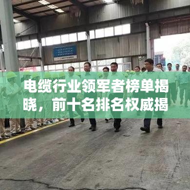 电缆行业领军者榜单揭晓，前十名排名权威揭示