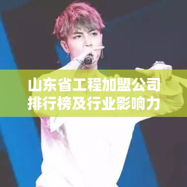 山东省工程加盟公司排行榜及行业影响力分析