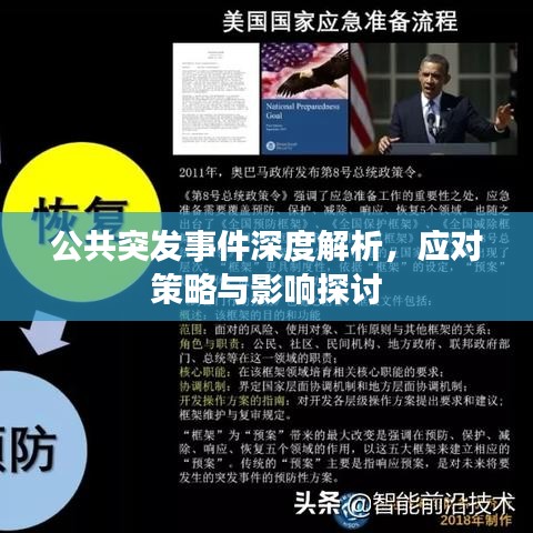 公共突发事件深度解析，应对策略与影响探讨
