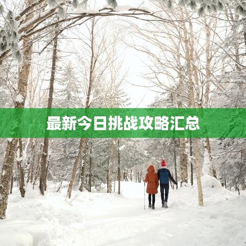 最新今日挑战攻略汇总