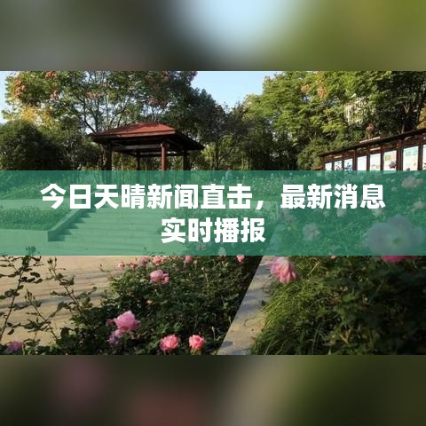 今日天晴新闻直击，最新消息实时播报