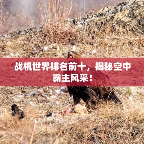 战机世界排名前十，揭秘空中霸主风采！