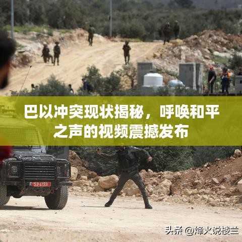 巴以冲突现状揭秘，呼唤和平之声的视频震撼发布