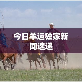 今日羊运独家新闻速递