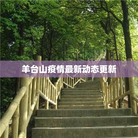 羊台山疫情最新动态更新