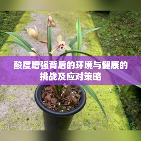 酸度增强背后的环境与健康的挑战及应对策略