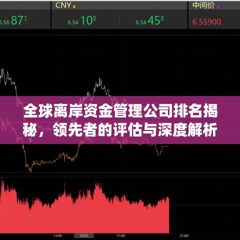 全球离岸资金管理公司排名揭秘，领先者的评估与深度解析