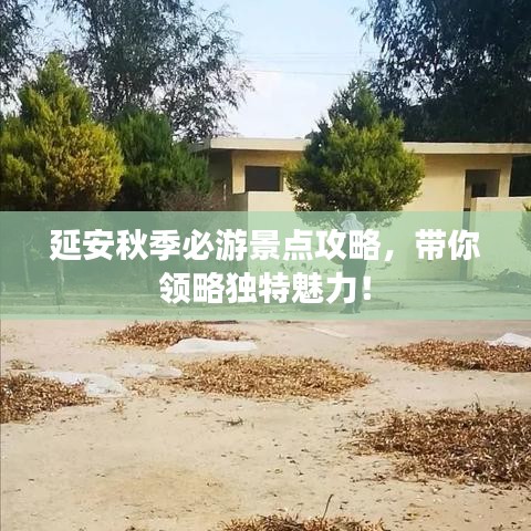 延安秋季必游景点攻略，带你领略独特魅力！