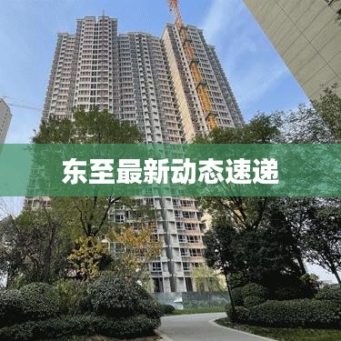 东至最新动态速递