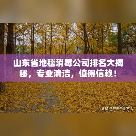 山东省地毯消毒公司排名大揭秘，专业清洁，值得信赖！
