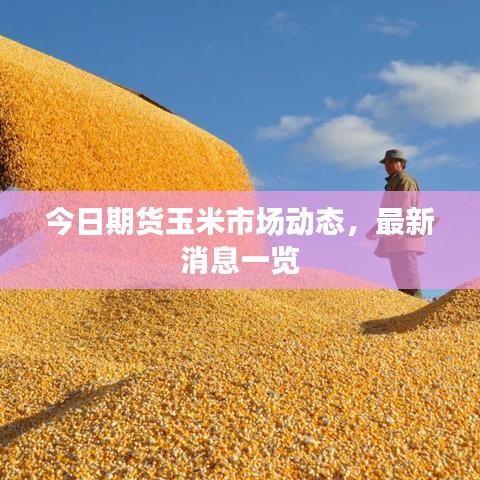今日期货玉米市场动态，最新消息一览