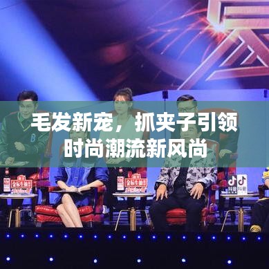毛发新宠，抓夹子引领时尚潮流新风尚