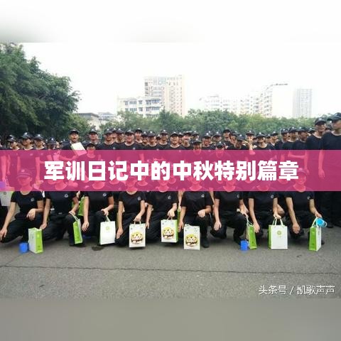 军训日记中的中秋特别篇章