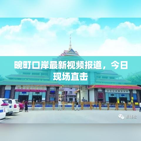 畹町口岸最新视频报道，今日现场直击